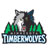 Minnesota Timberwolves