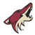 Arizona Coyotes